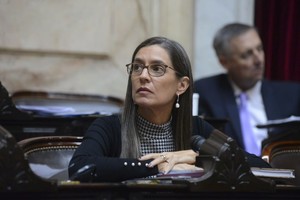 Laura Carolina Castets, Diputada nacional por Santa Fe. Integrante de la Comisión de Industria.
