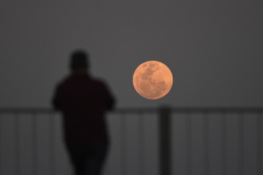 Gigantesca y brillante Luna que continúa observándose a primera hora del jueves. Crédito: Pablo Aguirre