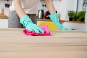 empleadas domesticas personal casas particulares limpieza