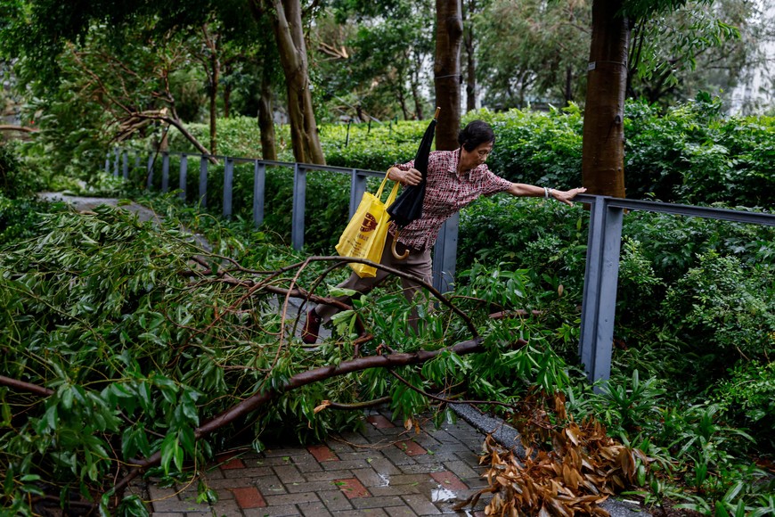 A woman steps over a fallen tree following Super Typhoon Saola, in Hong Kong, China September 2, 2023. REUTERS/Tyrone Siu