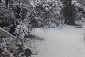 La nieve es un augurio de brillos que a pesar de ser fugaces dejan impresiones que perduran.