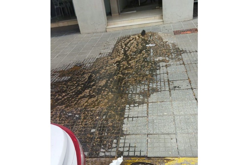 Los vecinos denuncian que la situación se repite cada seis meses.