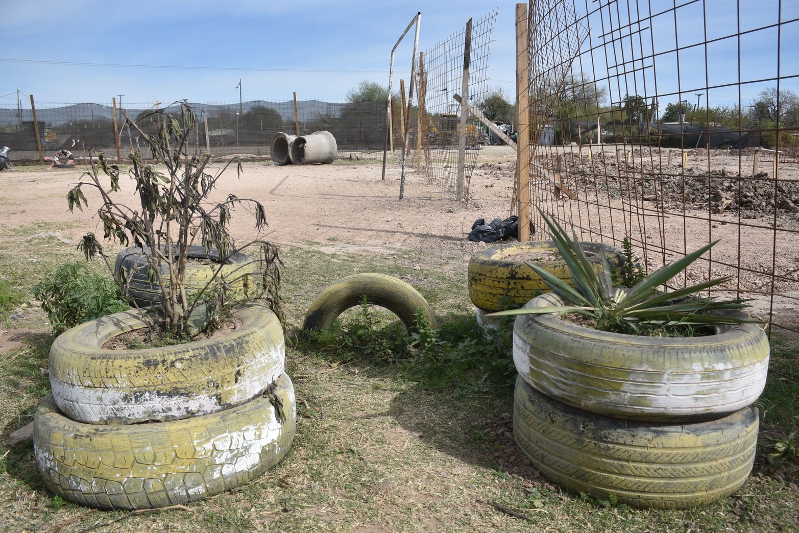Las macetas con gomas fueron sacadas y amontonadas. 