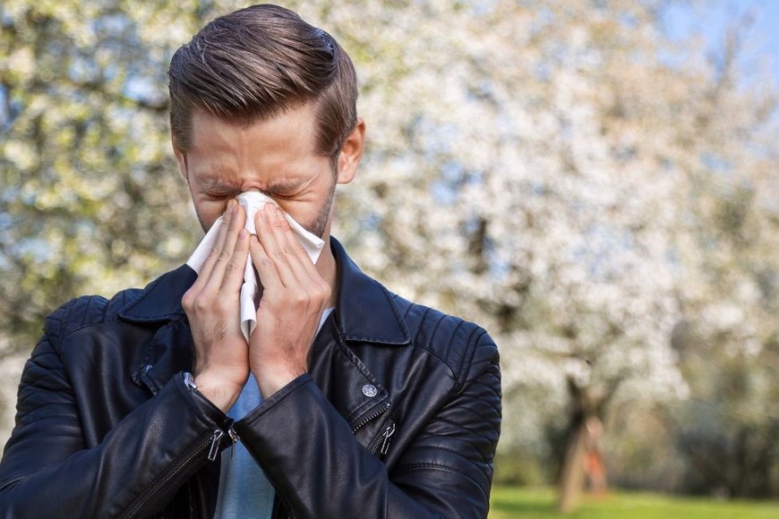 En los últimos años hubo un incremento en las alergias