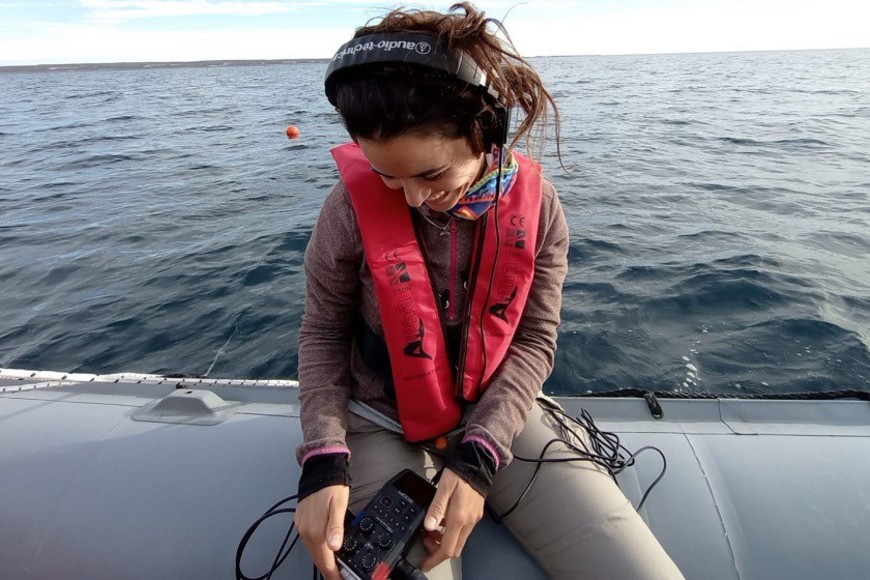 La becaria del CONICET Virginia Tortolini estudia la ecología acústica de la ballena franca. Crédito: Gentileza.
