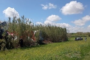 El camión terminó entre los pastizales.