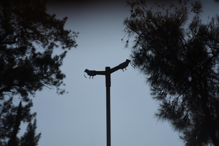 Una de las tantas luminarias fuera de servicio.