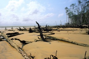 "Gritos de protesta" de la Tierra. Así llamó el Papa Francisco a los fenómenos meteorológicos extremos que se suceden en el mundo que, advirtió, puede estar llegando "a su punto crítico".