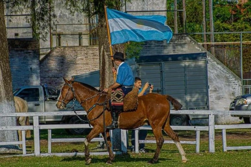 "Caballos en La Rural"