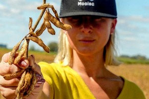 Moolec es una foodtech centrada en la producción de proteínas animales a partir de plantas genéticamente modificadas.