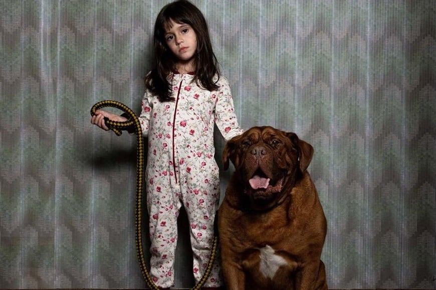 Shudder, La Puerta Roja, Aramos Cine, Machaco Films