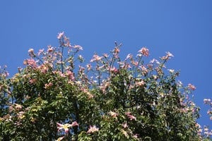 Imagen ilustrativa. Seguirá el calor durante el día. Crédito: Eduardo Seval