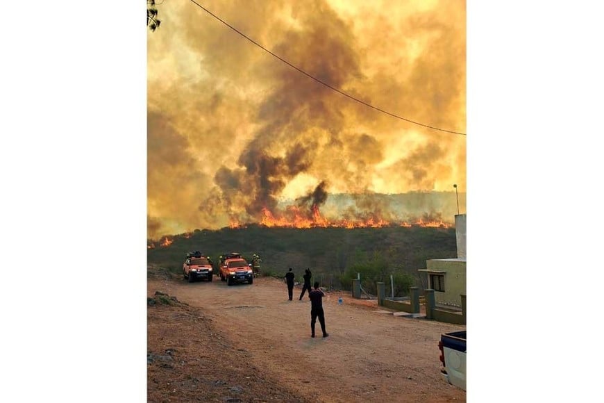 Parte de las imágenes captadas en las zonas afectadas por el fuego.