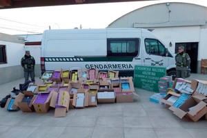 Los gendarmes detectaron 14.411 unidades de medicamentos y compuestos fármacos de diferentes marcas en infracción a la Ley 16.463. Crédito Prensa GNA