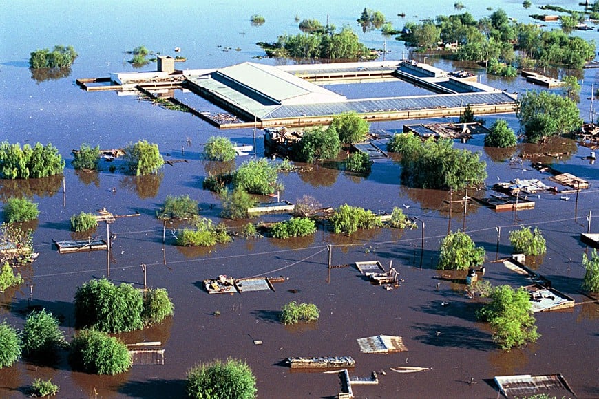Así se veía el techo de la Escuela Mons. Zazpe el 5 de mayo de 2003. A Salgado le habían dicho que la institución educativa "no se iba a inundar".