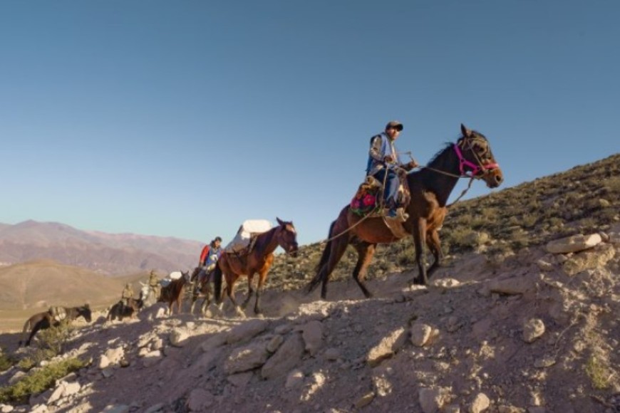 Doce horas en mula para llevar las urnas a las escuelas de las montañas de la Quebrada de Humahuaca.
