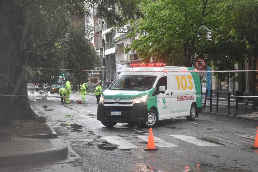 árbol tormenta bulevar