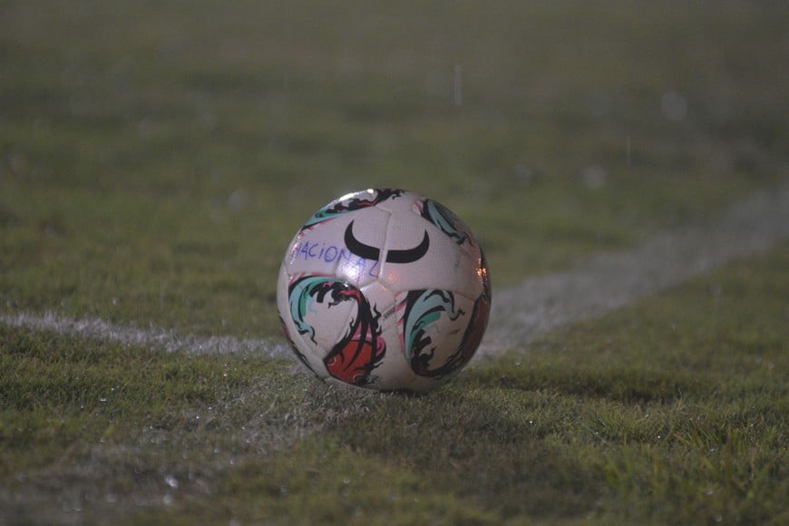 Un día volvió la lluvia... La cantidad de agua caída benefició a los campos de juego de toda la región. El verde césped se recuperará lentamente. Crédito: Manuel Fabatía