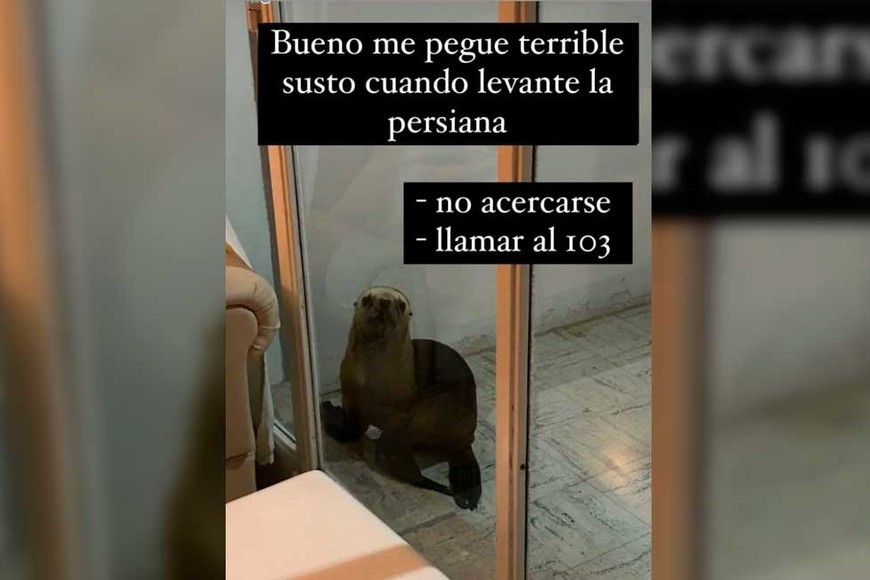 La imagen original que compartió una usuaria de Instagram.