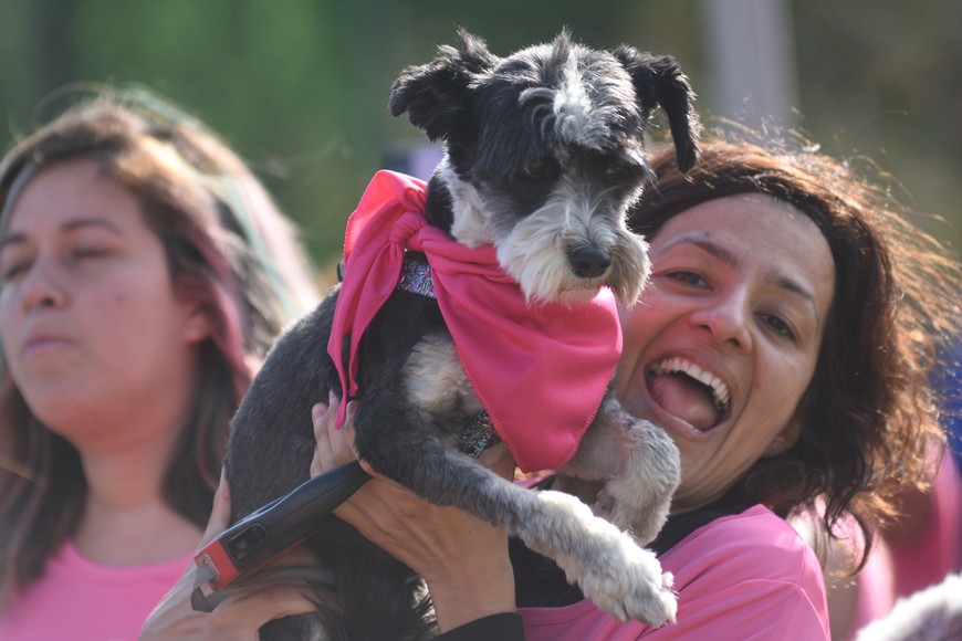 El evento cuenta con un espacio petfriendly. Crédito: Mauricio Garín.