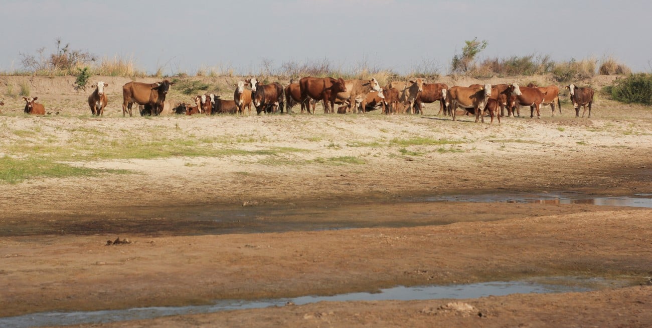 Sequía: quejas de la UCR por "grave discriminación" en ayudas por 920 millones