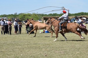 El concurso interprovincial de domadores tendrá epicentro el primer fin de semana de noviembre en la localidad del departamento Las Colonias.
Foto: Juan Manuel Fernández/Archivo