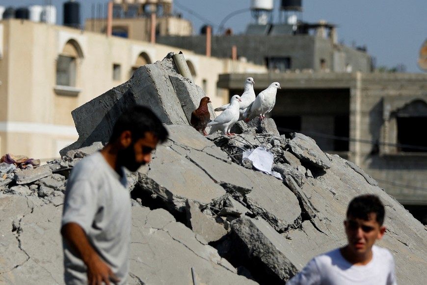 Birds perch on rubble as Palestinians look for casualties following an Israeli strike on a house, in Khan Younis, in the southern Gaza Strip, October 25, 2023. REUTERS/Ibraheem Abu Mustafa     TPX IMAGES OF THE DAY