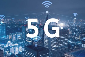 La subasta pública fue llevada a cabo el martes pasado