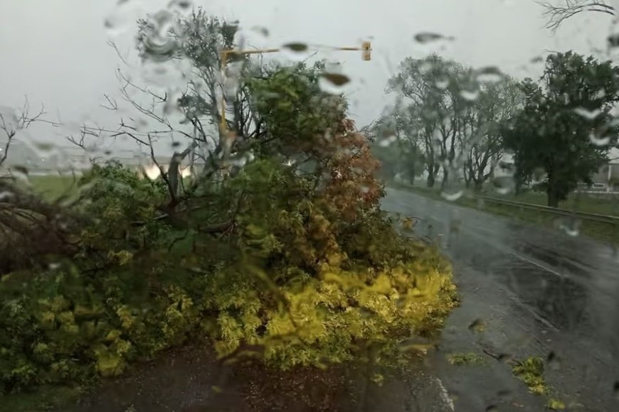 Consecuencias del viento y las fuertes lluvias en Venado Tuerto.