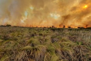 Alerta por riesgo alto de incendios en Córdoba por las altas temperaturas.