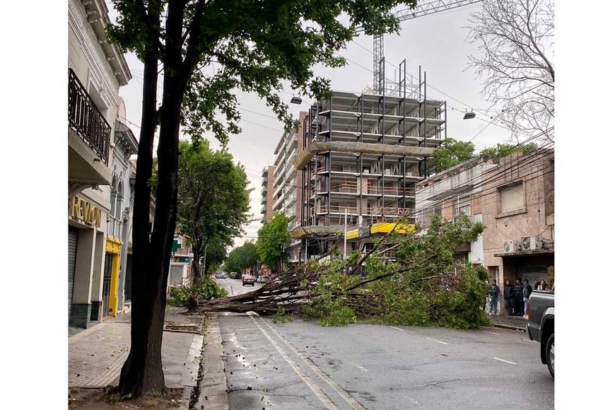 La zona de Ovidio Lagos al 1300. Foto: Gentileza @marinagnapoli