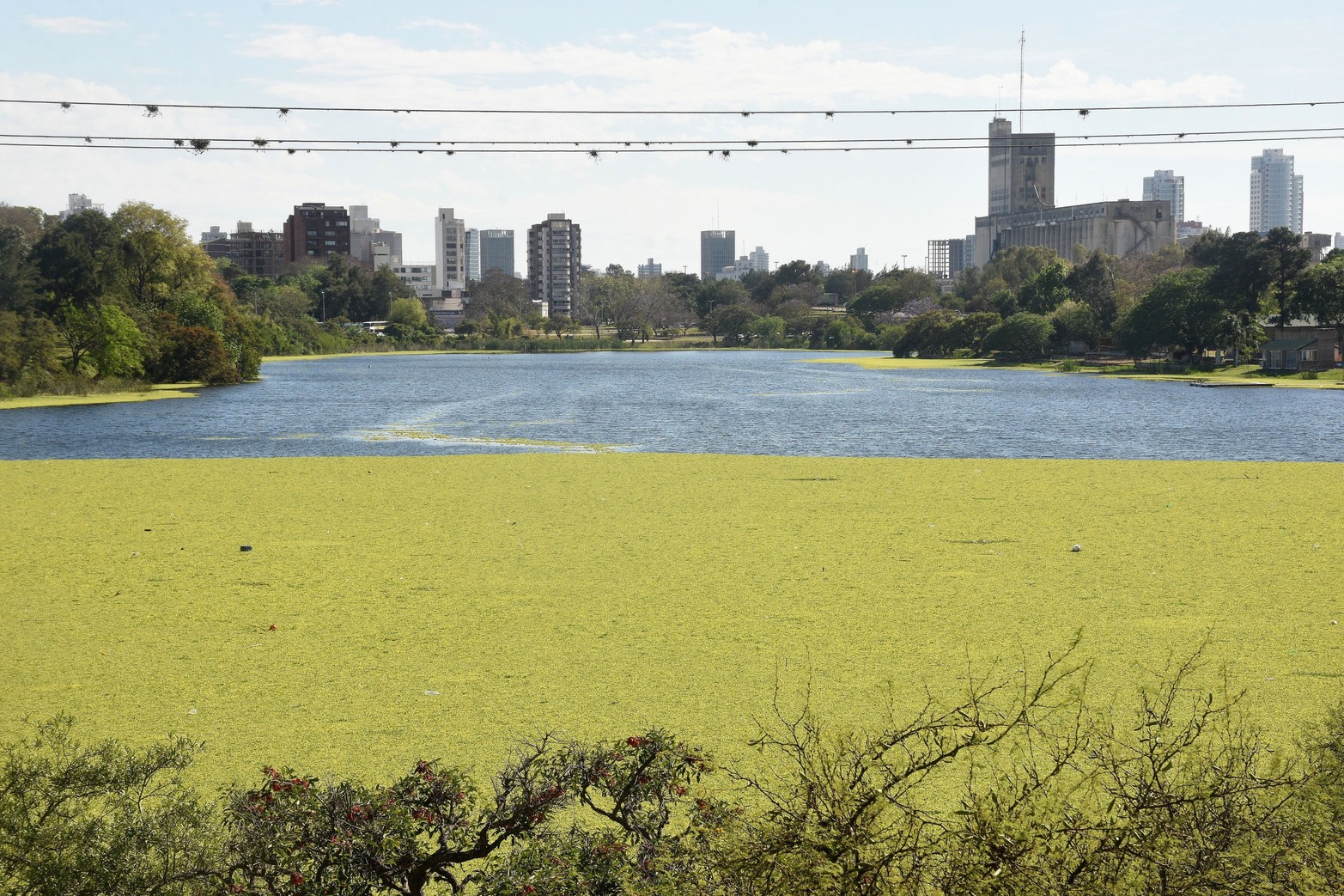 Poco lugar para armar las canchas de prácticas.  El municipio dejó de mantener el lugar advierten desde el Club El Quilla.