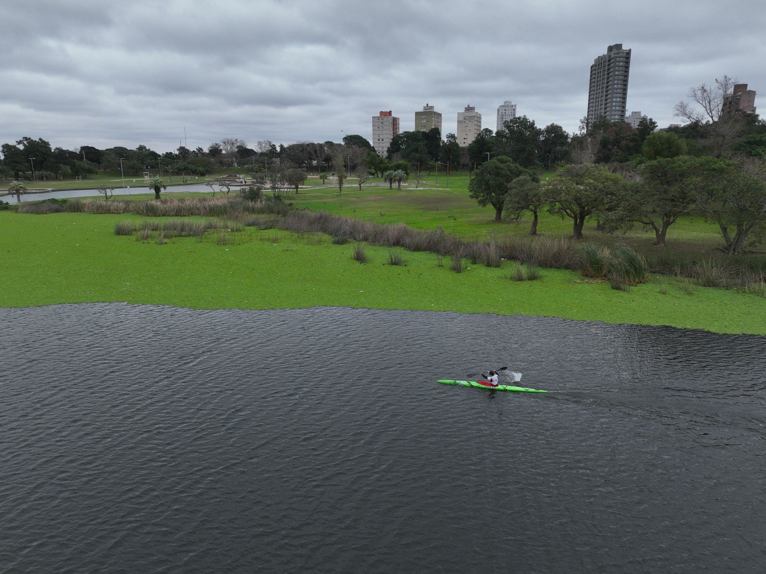 Fines de Julio de este año.  La vegetación acuática era mucho menor.