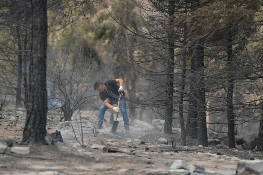 Los daños provocados por el fuego en Mendoza. Crédito: Ramiro Gómez / Télam