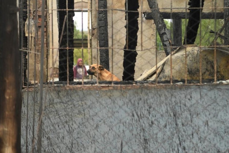 Los daños provocados por el fuego en Mendoza. Crédito: Ramiro Gómez / Télam