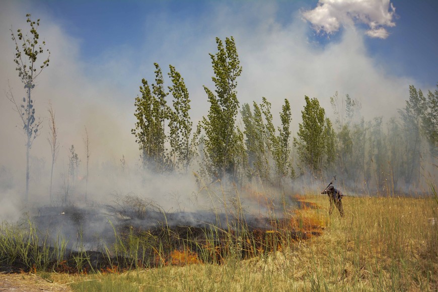 El combate del fuego en Mendoza. Crédito: Ramiro Gómez / Télam