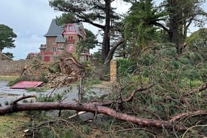 A fallen tree is seen on the road during Storm Ciaran in Perros-Guirec, Brittany, France, November 2, 2023. REUTERS/Benoit Tessier
