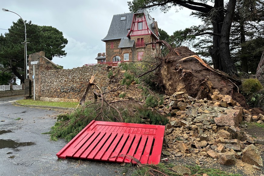 A fallen tree is seen during Storm Ciaran in Perros-Guirec, Brittany, France, November 2, 2023. REUTERS/Benoit Tessier