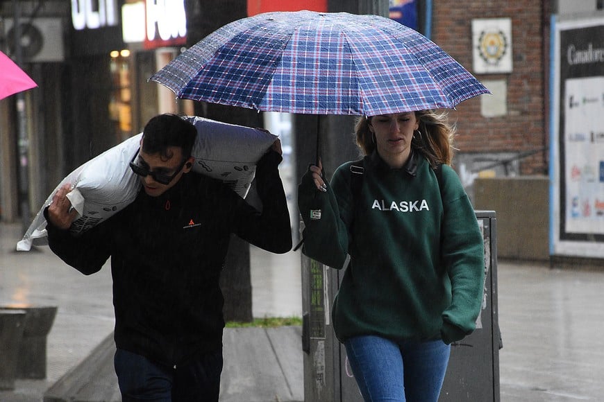 No es Eric Meza el defensor de Colón.  Un joven lleva una bolsa de tierra fértil en la peatonal.
