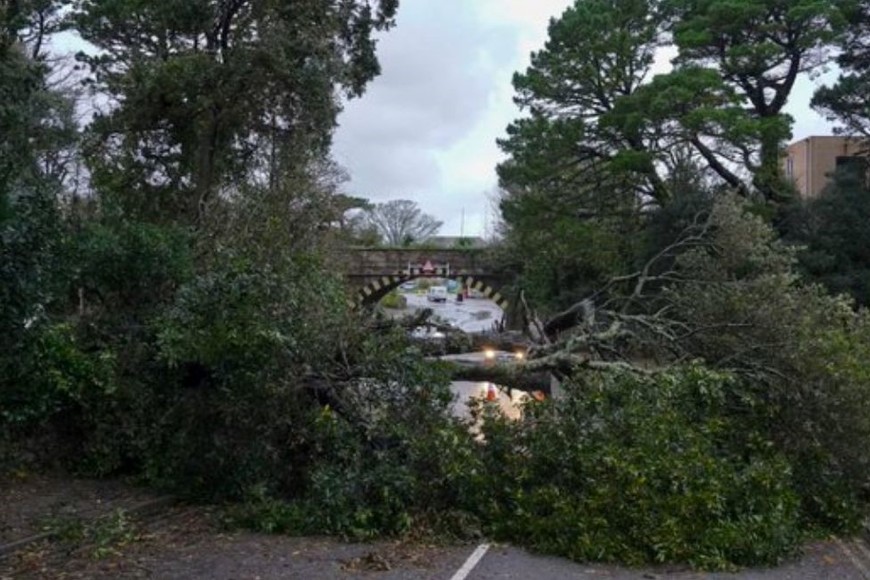 Al menos 40.000 personas en Toscana se encuentran sin electricidad