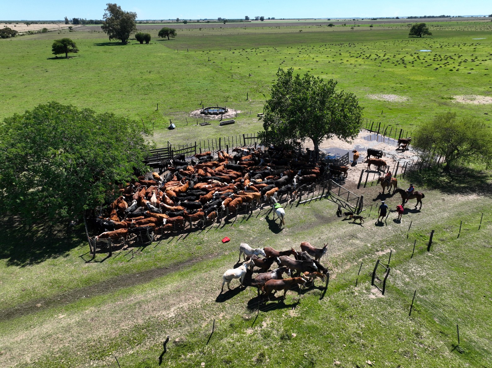 En la zona se superaron los cinco metros del río. Créditos: Fernando Nicola