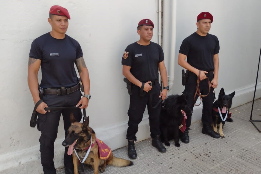 Los adiestradores subinspector Gastón Ojeda; el suboficial Sergio Palacios; y el subinspector Ernesto Molinas forman parte de la Sección Perros de la URI. Crédito: El Litoral