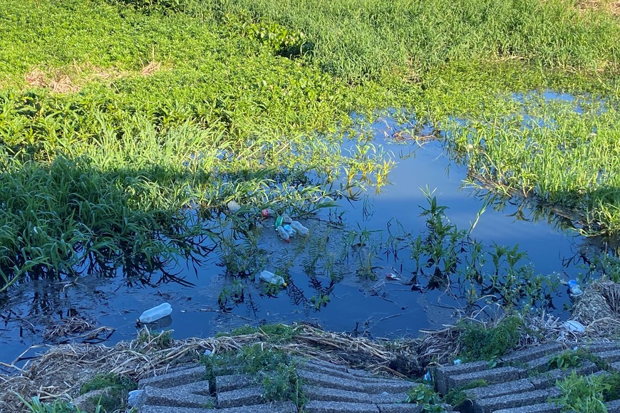 La basura queda flotando en la zona de la defensa costera.