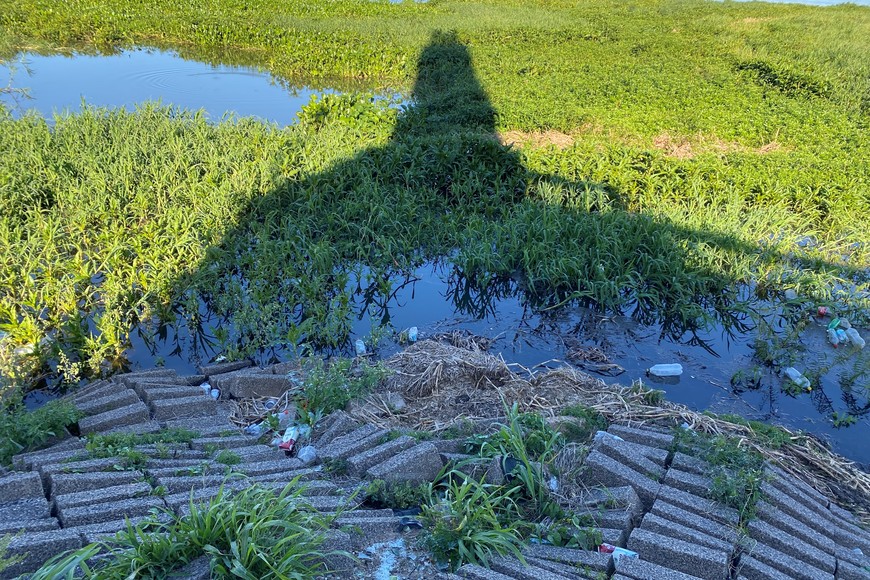 A la espera de la crecida, la Setúbal luce con más caudal de agua.