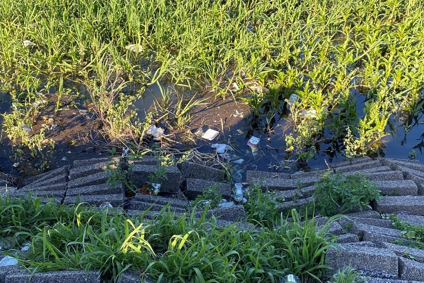 Debajo del faro, entre la vegetación, se mezclan las botellas y otros elementos contaminantes.