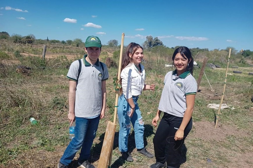 Los alumnos plantaron 30 árboles en el terreno de la Cooperativa Qom Alphi, frente al relleno sanitario de Santa Fe. Crédito. Gentileza escuela