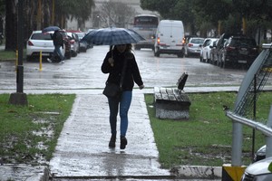 Imagen ilustrativa. Crédito: Guillermo Di Salvatore