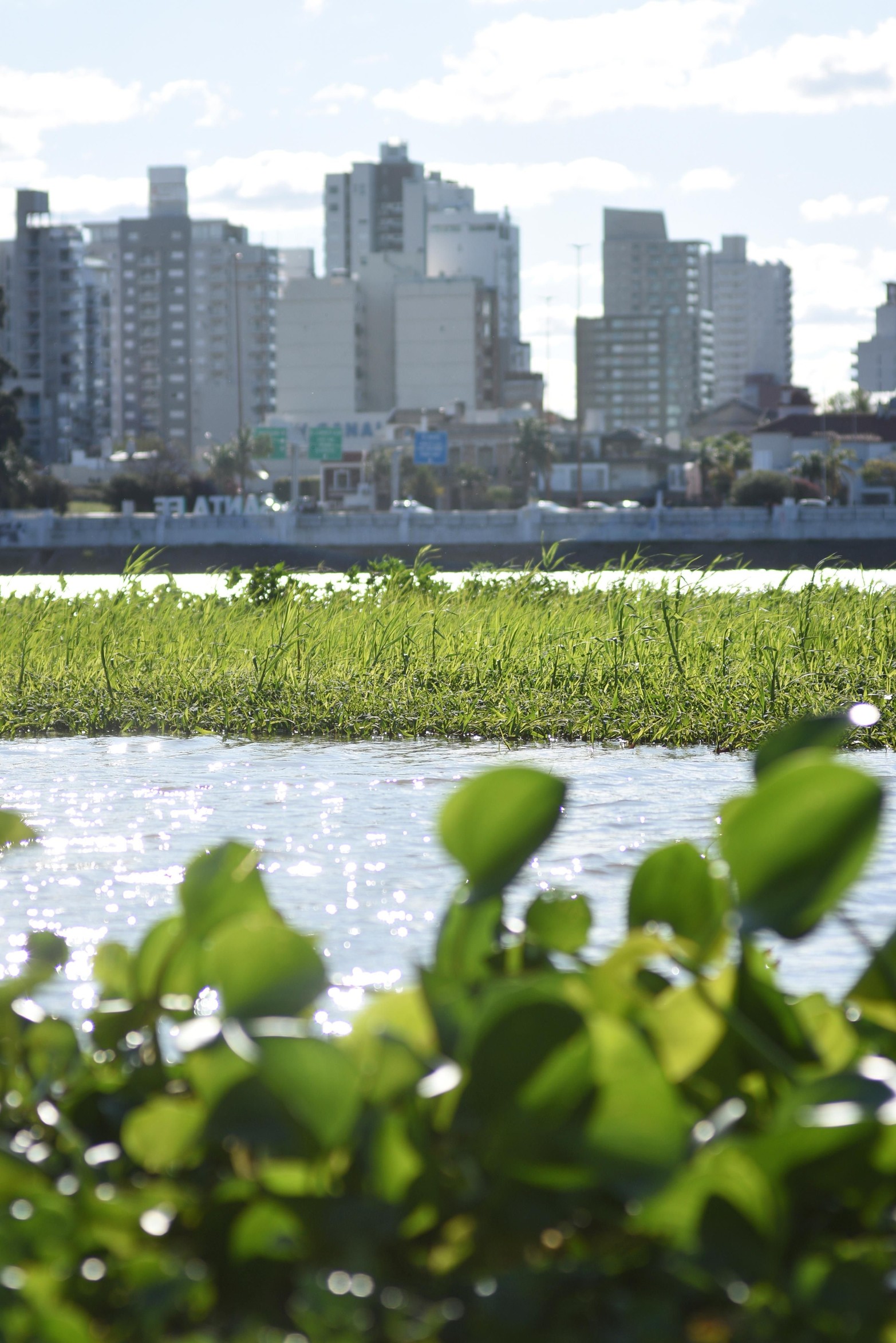 Con la ciudad de fondo. Una vista única que tienen los santafesinos: estar cerca de un espejo de agua.
