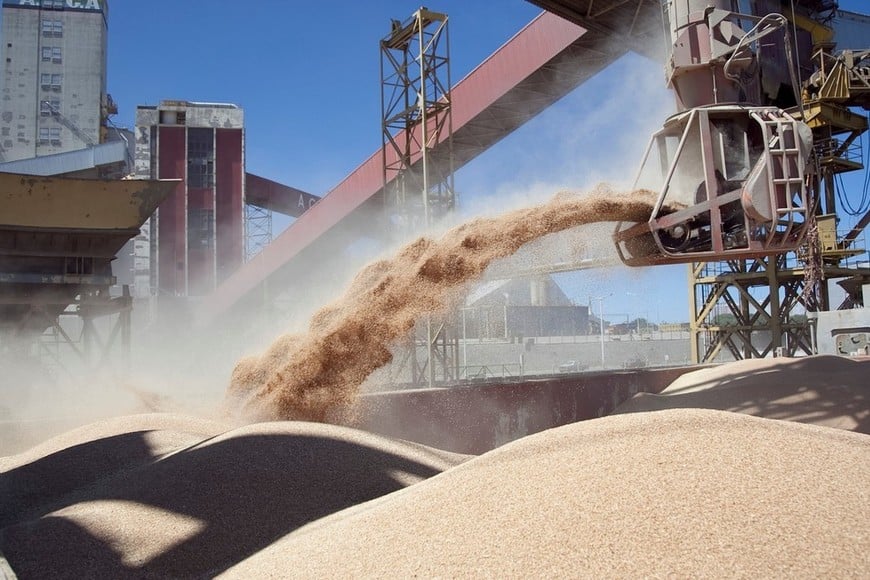 En la Argentina, el 30% de los dólares que ingresan por exportaciones proviene del complejo agro.