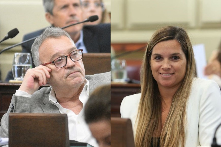 La primera iniciativa es del demoprogresista Gabriel Real y la segunda de la socialista Lorena Ulieldin.